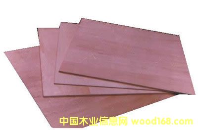 �c(di��n)���鿴��������1�Ŵ�DƬ