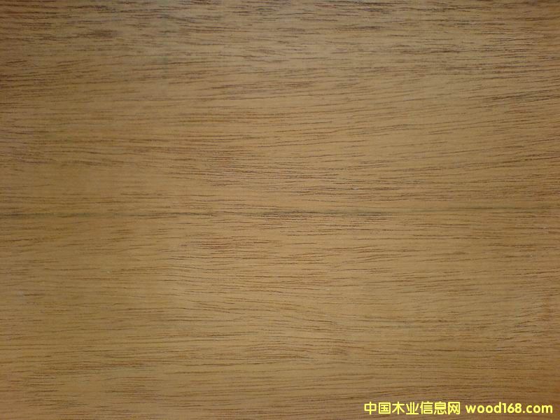 �c���鿴�R����ľƤ�Ŵ�DƬ