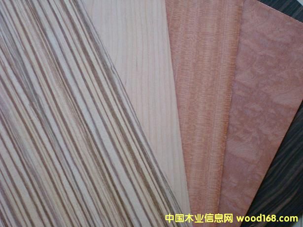 �c(di��n)���鿴fancy plywood�Ŵ�DƬ