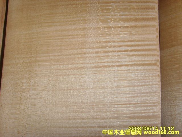 ��̴��Ԕ����B