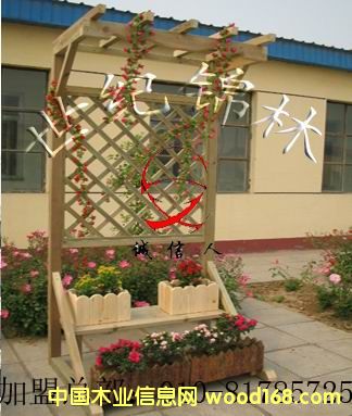 ���Ƅӻ���