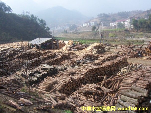 ԭľ��Ԕ����B