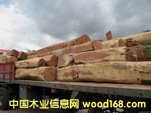 �t̴����ʵ�Ԕ��(x��)��B