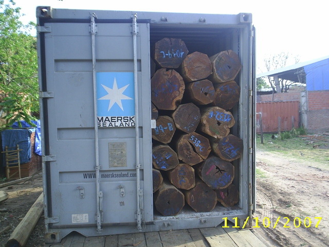 morado,܊����ľ��Ԕ��(x��)��B