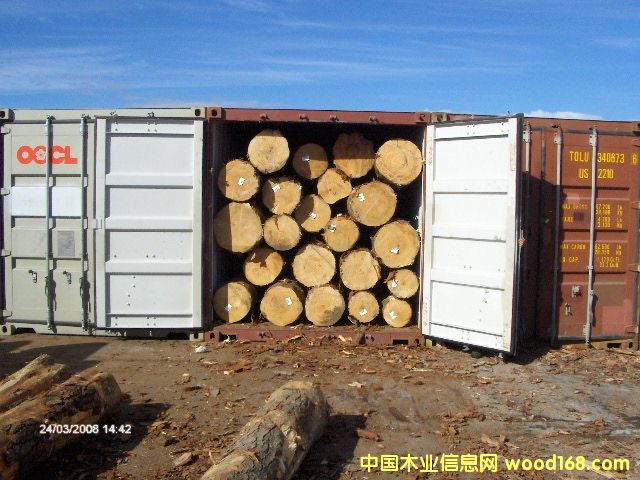 �����mݗ����ԭľ��Ԕ����B