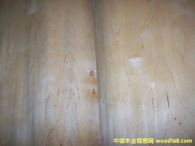 �ט���ƤD��Ԕ��(x��)��B