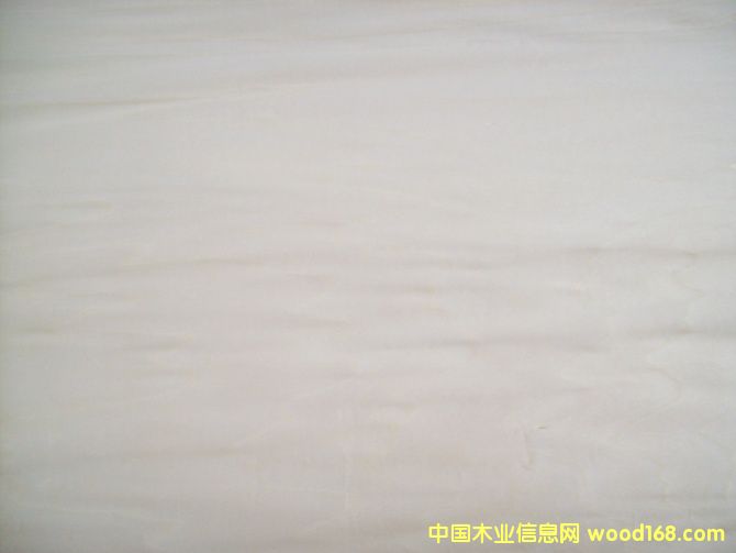 �ľ��Ƥ�����棴��Ԕ��(x��)��B