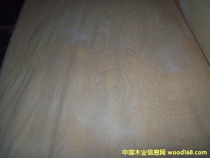 �ט���ƤB��Ԕ��(x��)��B