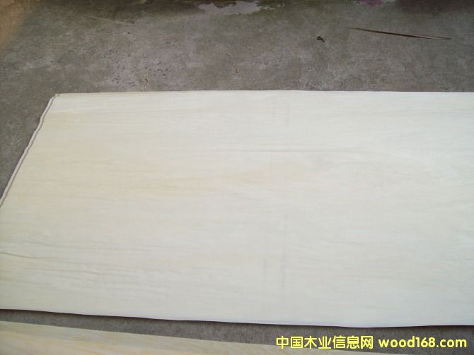 �ľ��Ƥ�����棱��Ԕ��(x��)��B