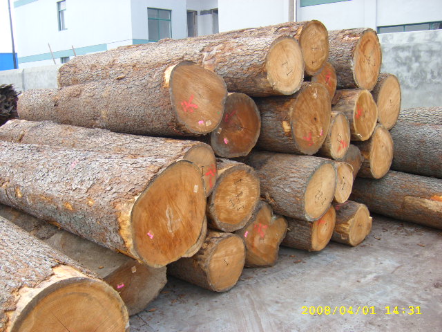 �µ�피�����ԭľ