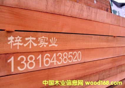 �tѩ��(�o(w��)��(ji��)�̣���Ԕ��(x��)��B