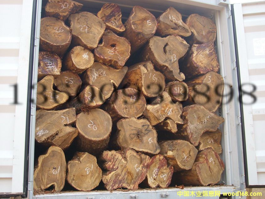 ������ ԭľKOSSO,VAIN,���ǵ�һ�ֹ�����