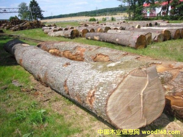 ��ľ��Ԕ����B