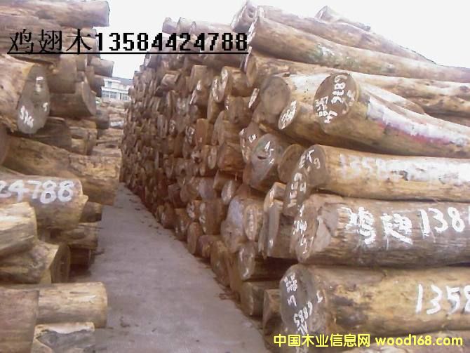 �c(di��n)���鿴�����u��Ŵ�DƬ