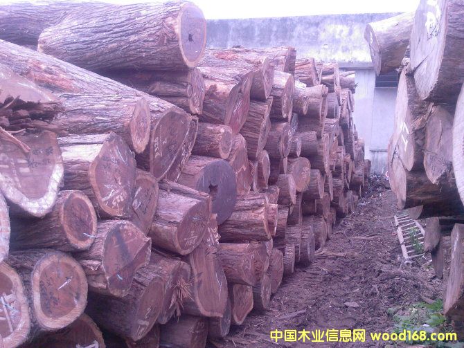 �c(di��n)���鿴Īɣ�ȿ˼t�F���Ŵ�DƬ