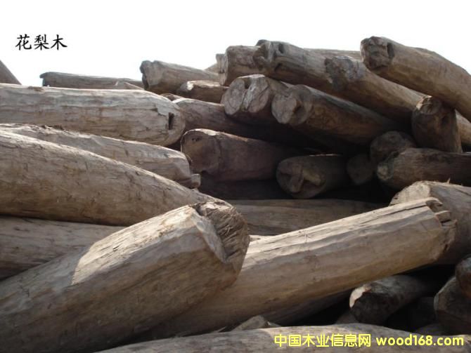 �c(di��n)���鿴���黨��Ŵ�DƬ