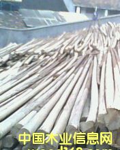 ɼľ��Ԕ��(x��)��B