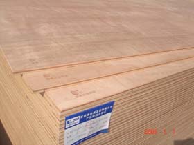 �c(di��n)���鿴�E�S��E1-700-18mm��ľо�z�ϰ�Ŵ�DƬ