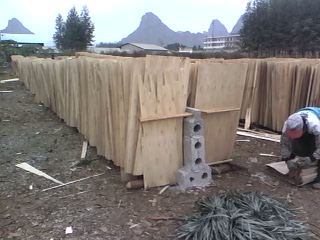 ��ľ�ΰ��Ԕ��(x��)��B