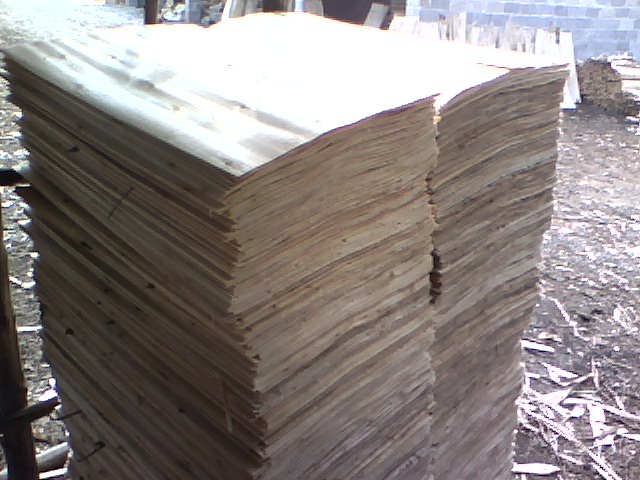 ��ľ�ΰ��Ԕ��(x��)��B