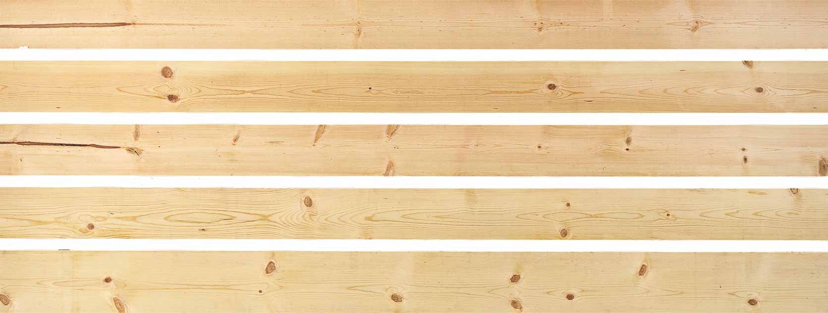 �c(di��n)���鿴Ponderosa pine�Ŵ�DƬ