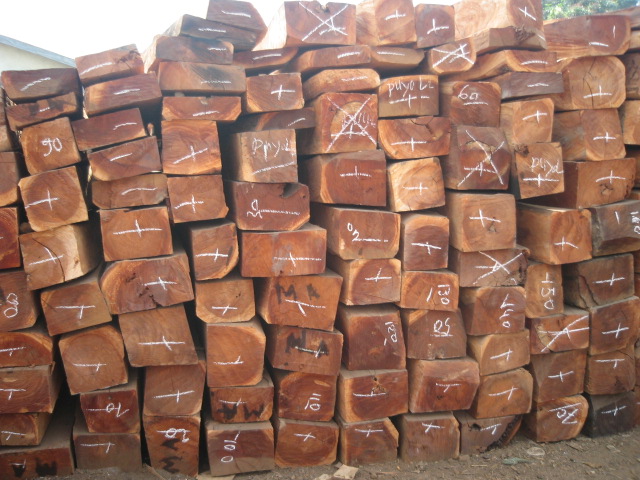 ����ľ��2��Ԕ����B