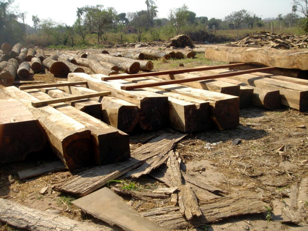 �c(di��n)���鿴܊��������֦ľ���Ŵ�DƬ