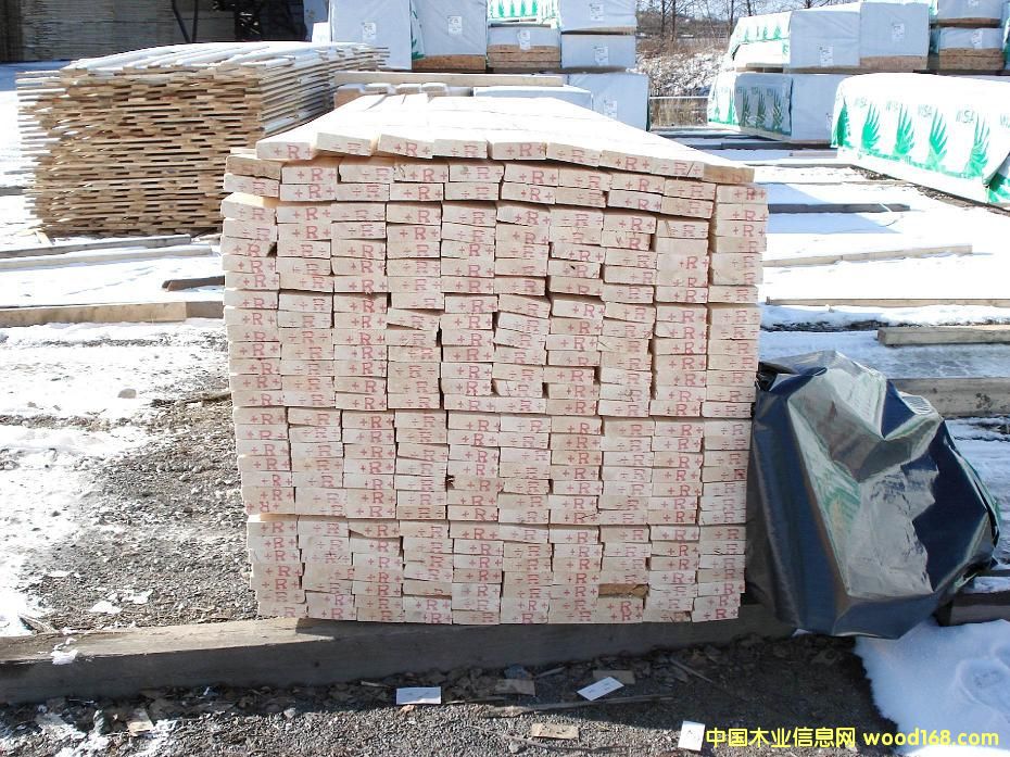 ���Wɼľ��ĵ�Ԕ��(x��)��B