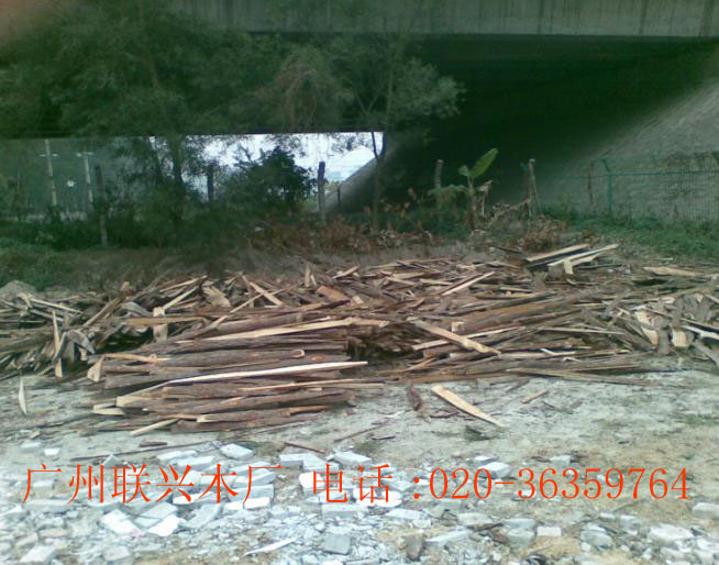 �ɲ������