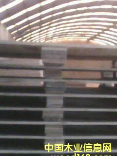 �c���鿴�бP�Ŵ�DƬ