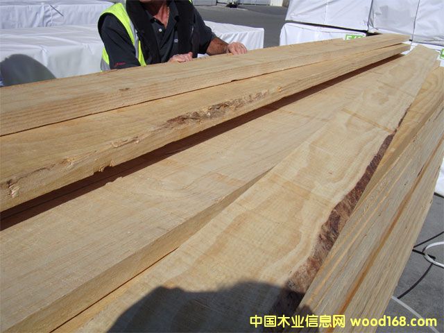 �c���鿴ݗ���ɰ�ķŴ�DƬ