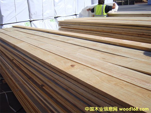 �c���鿴ݗ���ɰ�ķŴ�DƬ