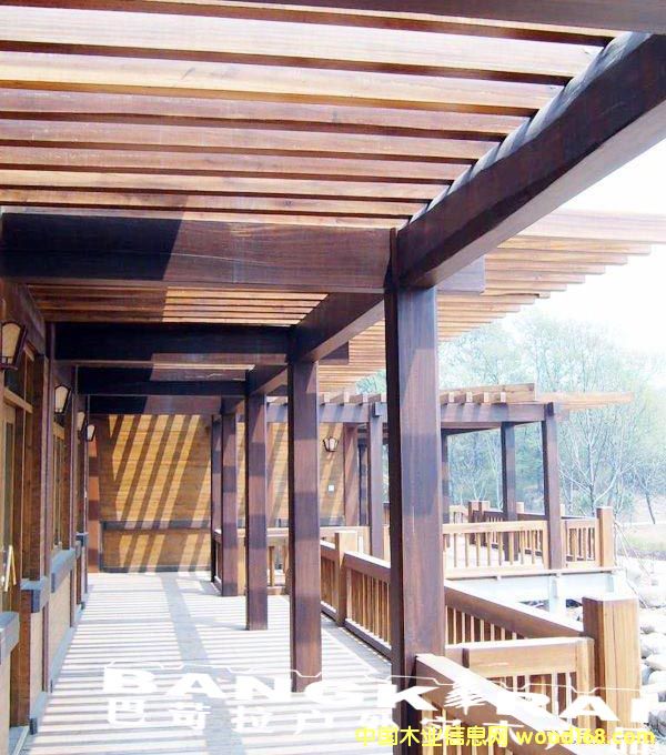 �c���鿴̿��ľ�Ŵ�DƬ