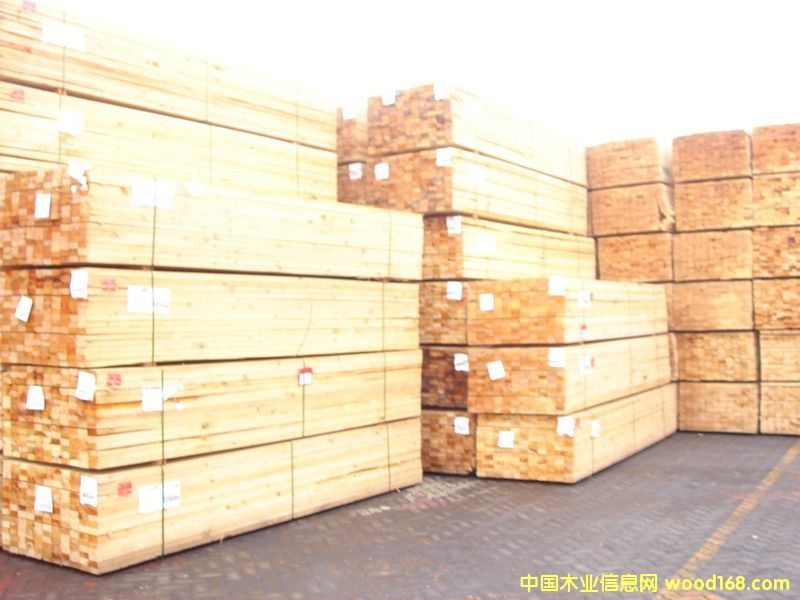 ������ľ�ĵ�Ԕ����B