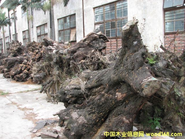 �u��ľ�����Ԕ��(x��)��B