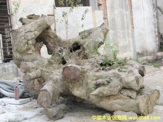 �����Ϙ���ψ�(ch��ng)��Ԕ��(x��)��B