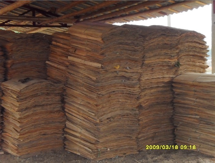 �c���鿴��ľ�ΰ�Ŵ�DƬ