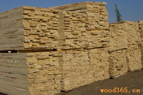 �c(di��n)���鿴��ľ�����ķŴ�DƬ