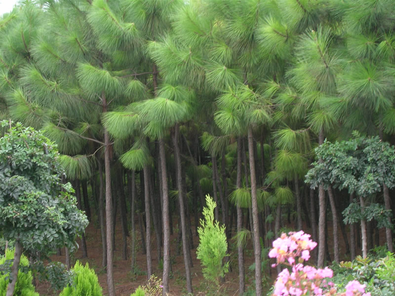 �Rβ��1��Ԕ��(x��)��B