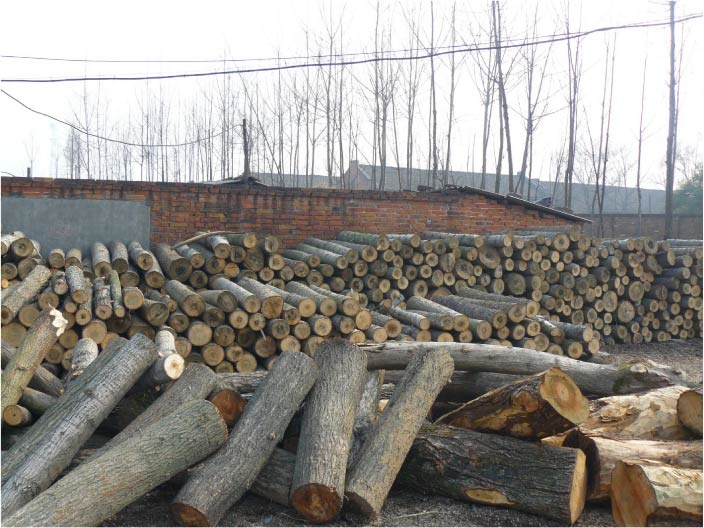 �c(di��n)���鿴���Ŵ�DƬ