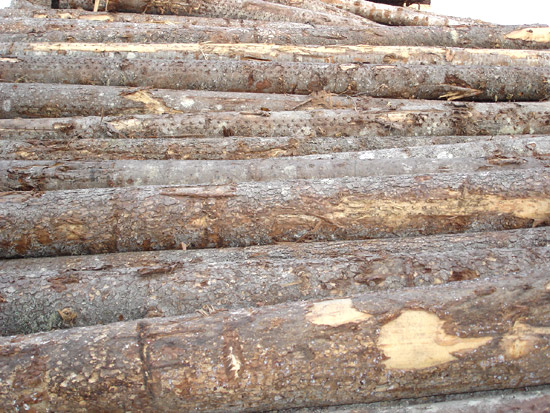 �c(di��n)���鿴���ɷŴ�DƬ