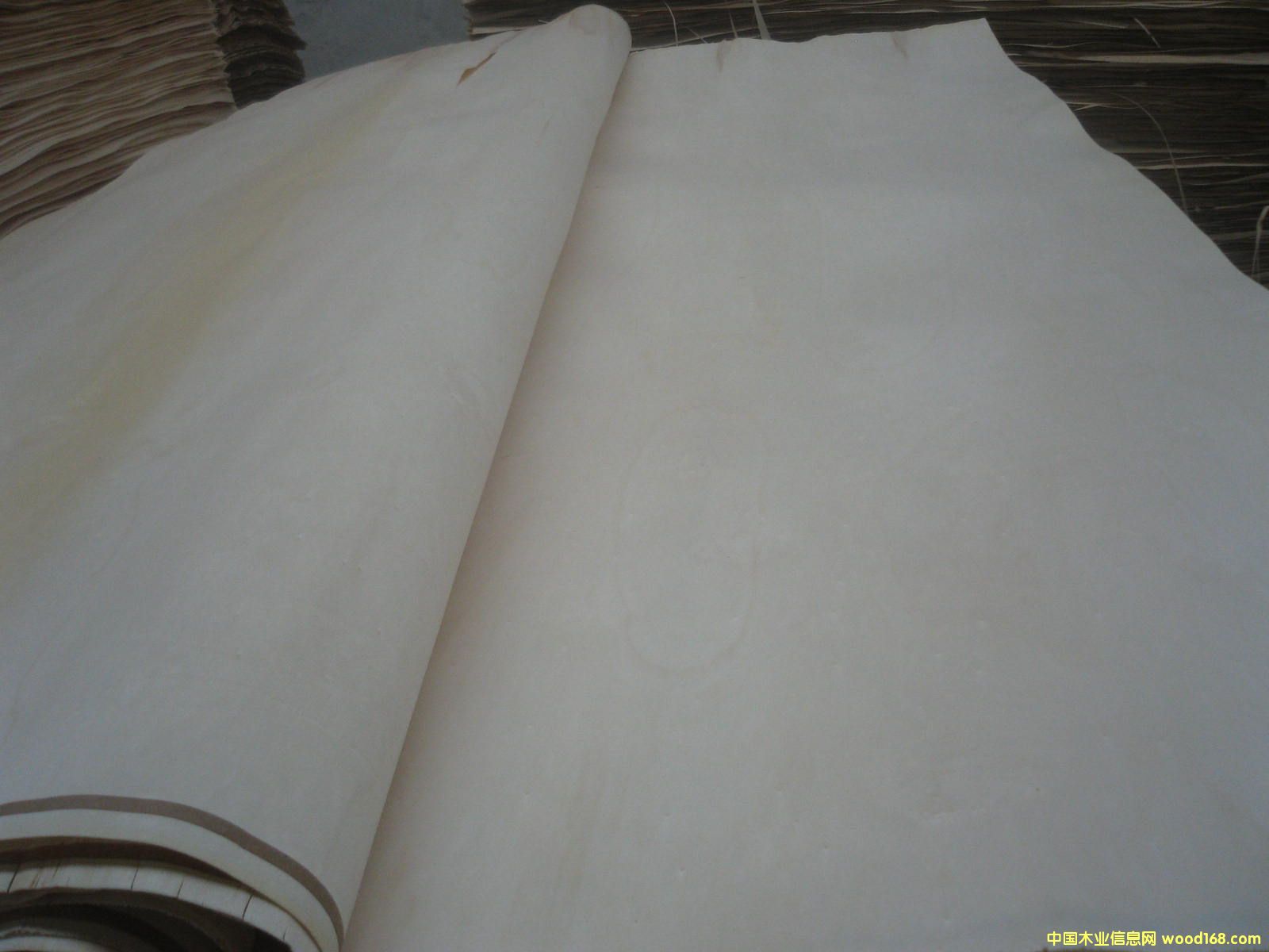 �c���鿴�ΰ�Ŵ�DƬ