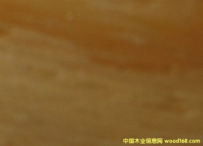 �c(di��n)���鿴��ľľƤ�Ŵ�DƬ