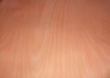 �c(di��n)���鿴1.5cm��(x��)ľ����Ŵ�DƬ