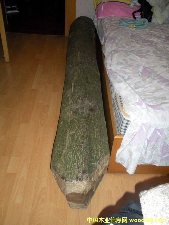 �c(di��n)���鿴����ľ���۷Ŵ�DƬ