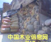 �c(di��n)���鿴ľм�Ŵ�DƬ