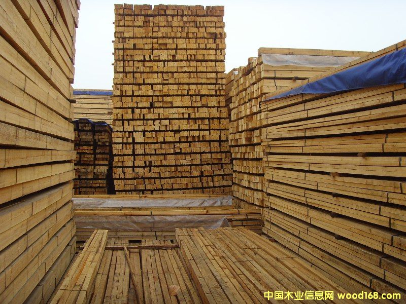 �c���鿴ɼľ���̷��Ŵ�DƬ