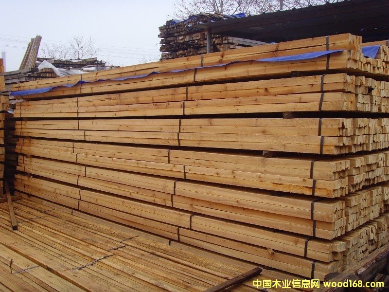 �c���鿴ɼľ�b��l�Ŵ�DƬ