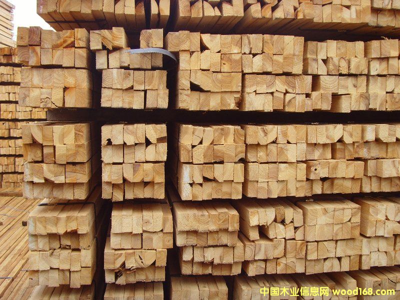 �c���鿴ɼľ�b��l�Ŵ�DƬ