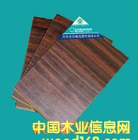 �h(hu��n)���o��ȩ������